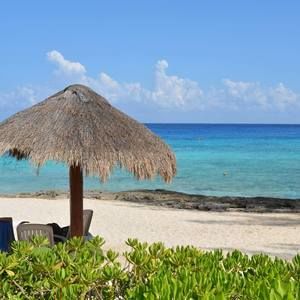 Meet your Posher, Antoinette